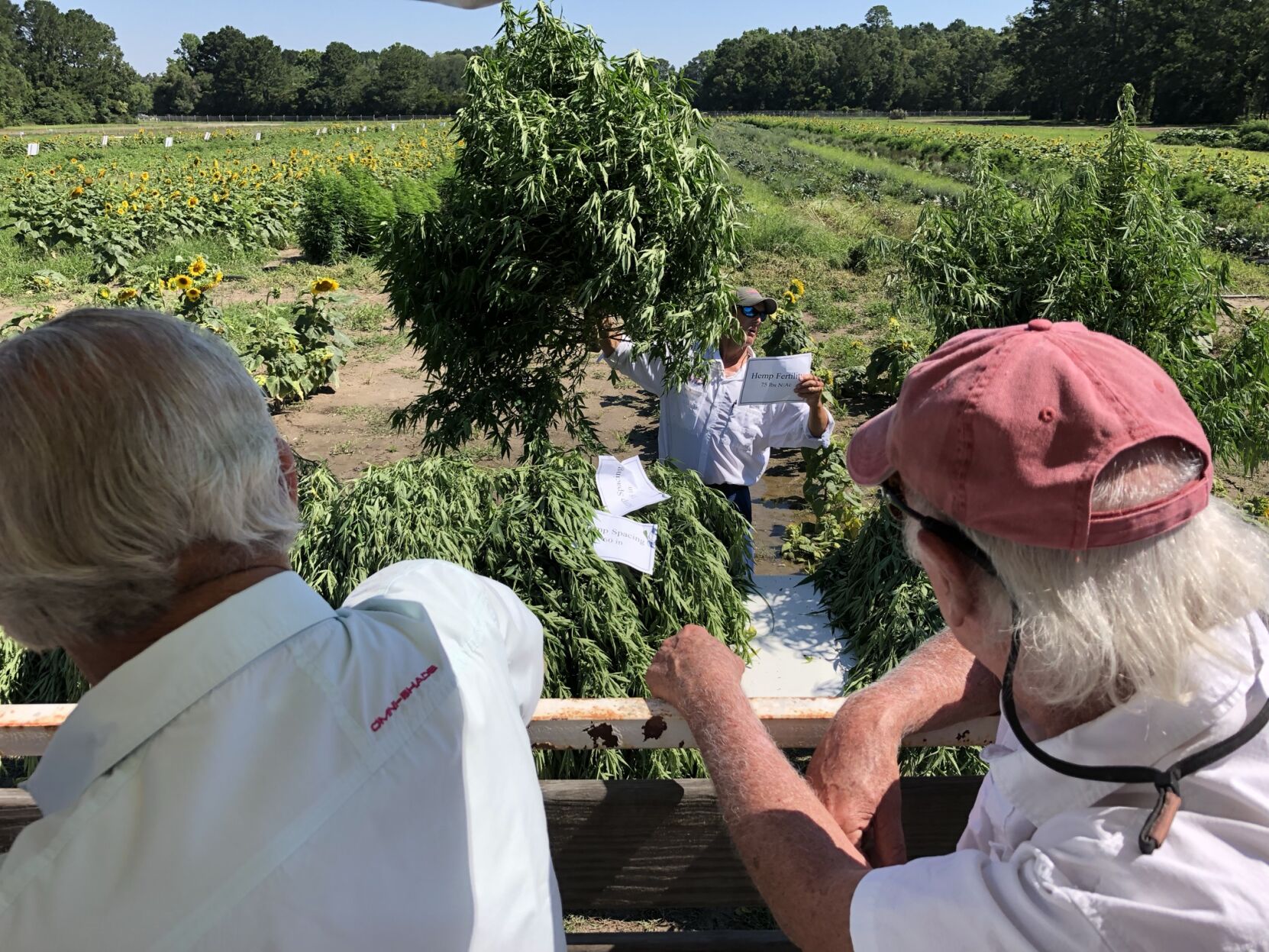 Editorial: You don’t have to be a pothead to support SC hemp; in fact, it's best not to be